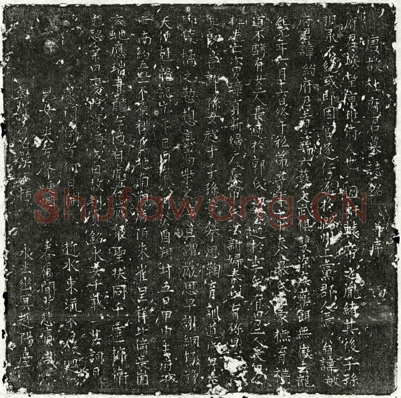 唐杜约墓誌(唐故杜府君墓誌铭并序)