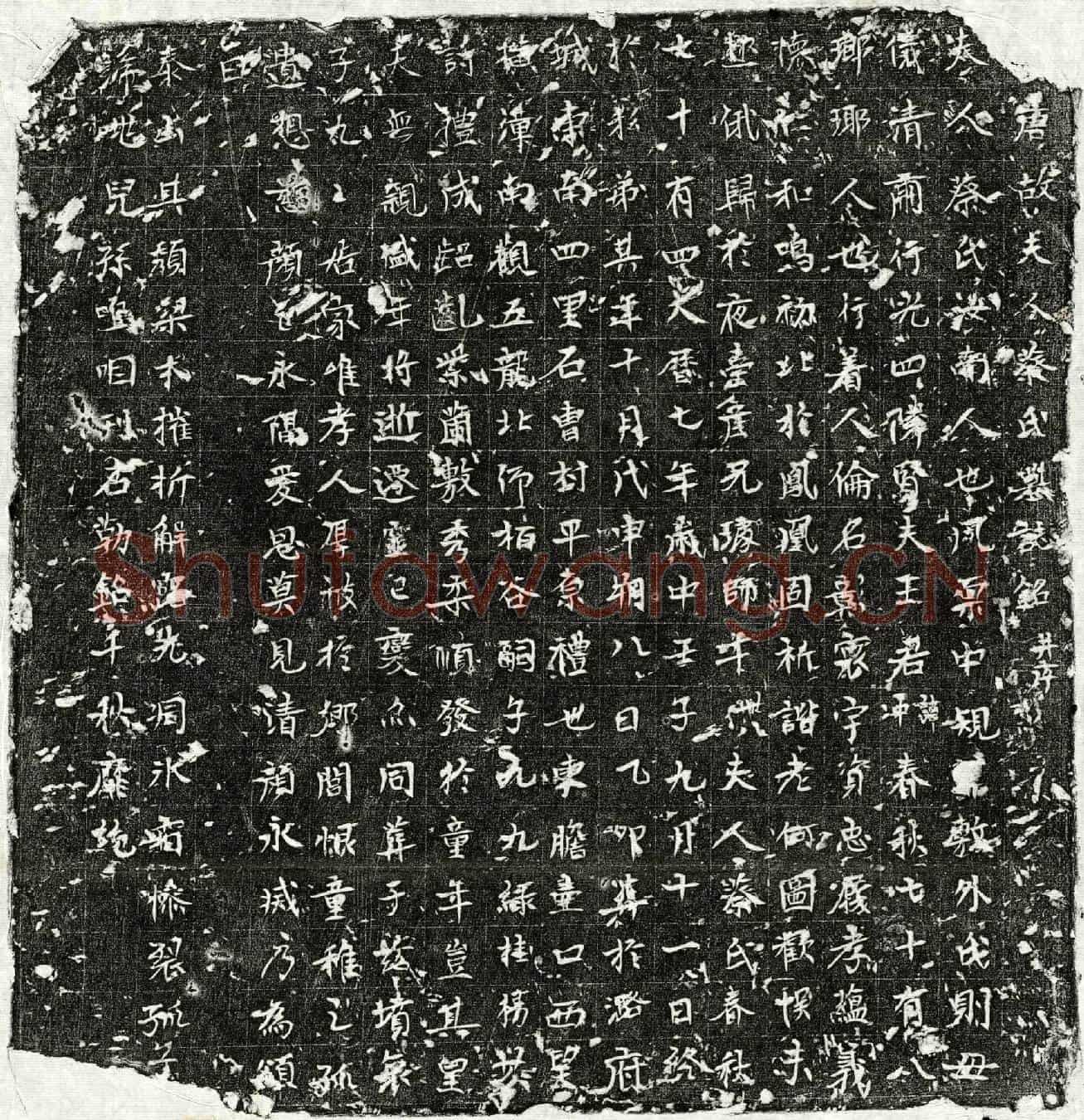 唐王冲妻蔡氏墓誌(唐故夫人蔡氏墓誌铭并序)