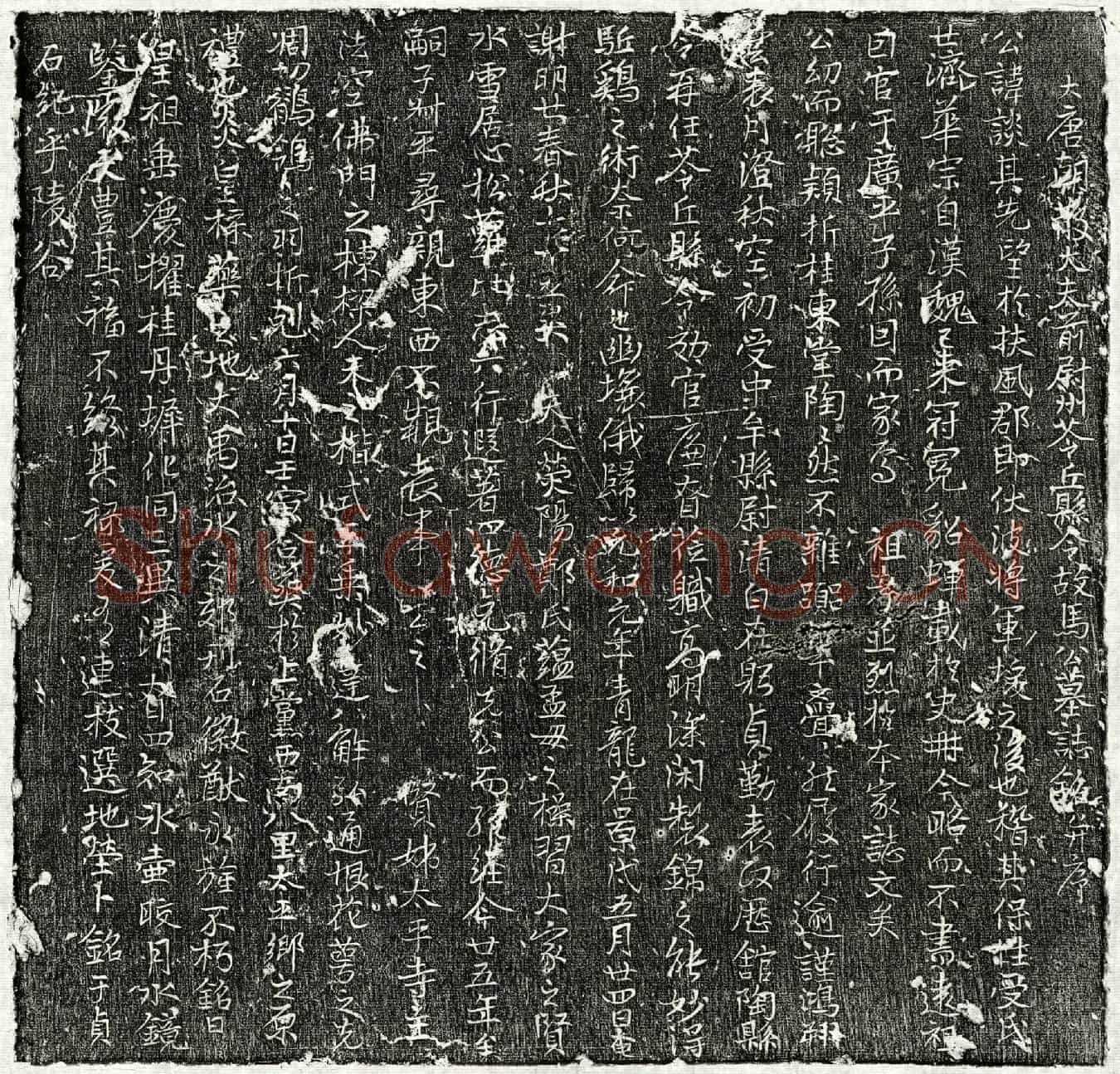 唐马谈墓誌(大唐朝散大夫前尉州苓丘县令故马公墓誌铭并序)