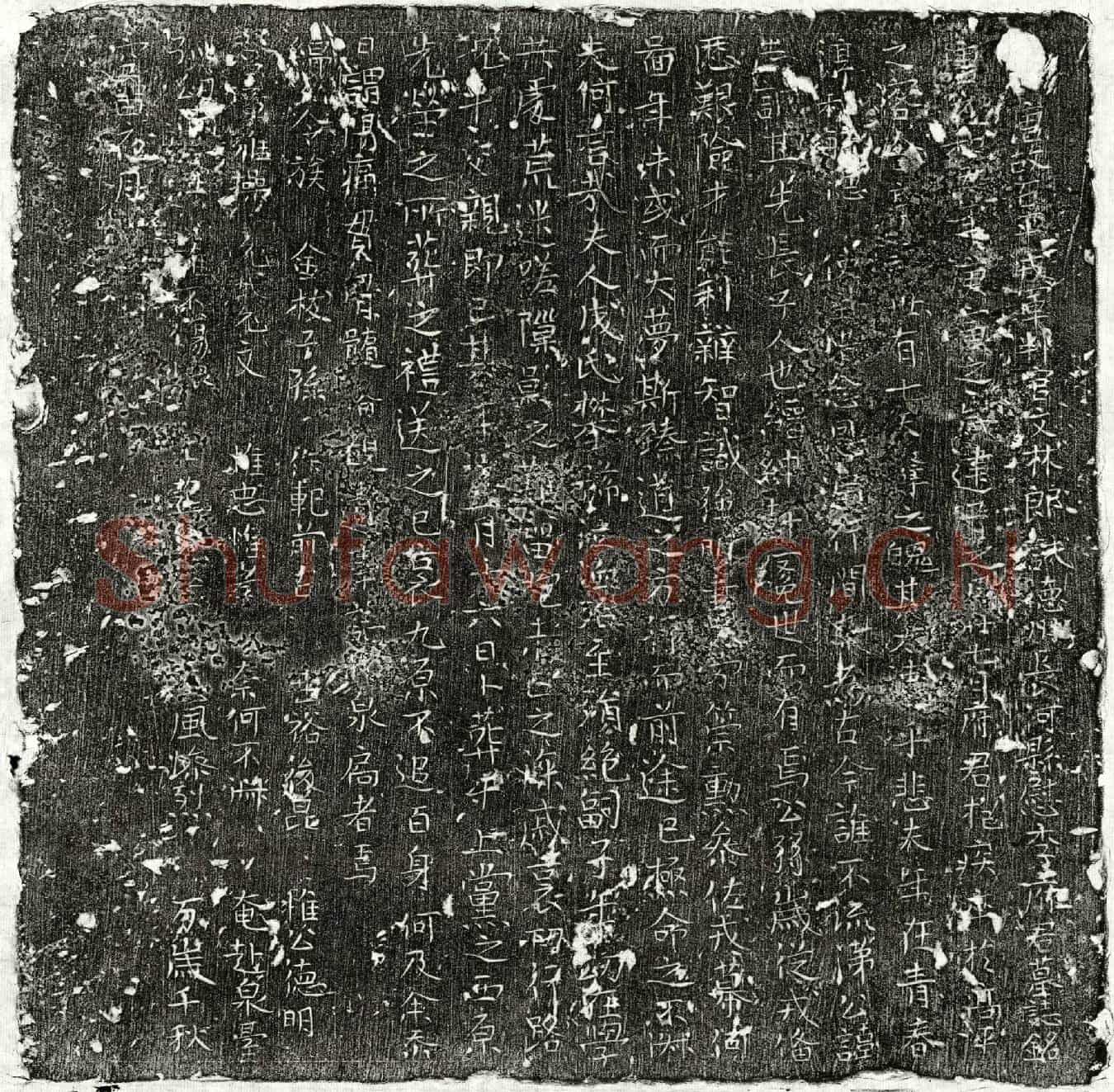 唐李志训墓誌(唐故右平戎军判官文林郎试德州长河县慰李府君墓誌铭)