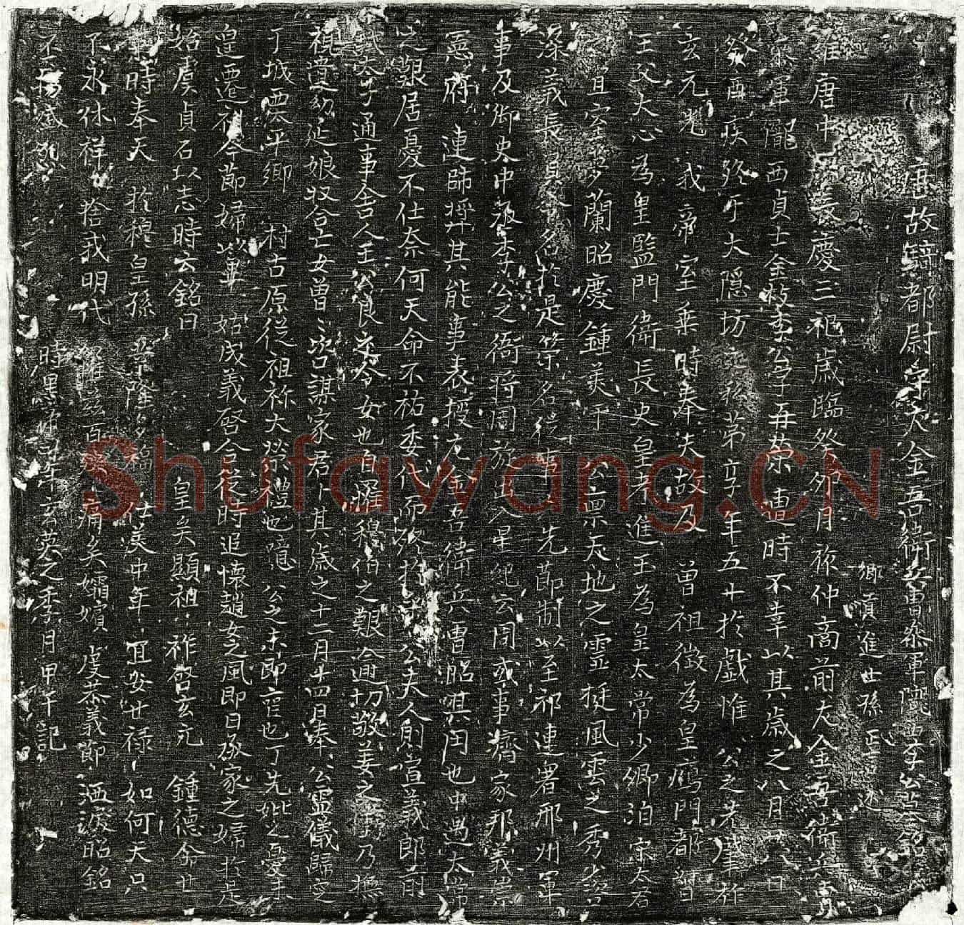 唐李再荣墓誌(唐故骑都尉守左金吾卫兵曹参军陇西李公墓铭)