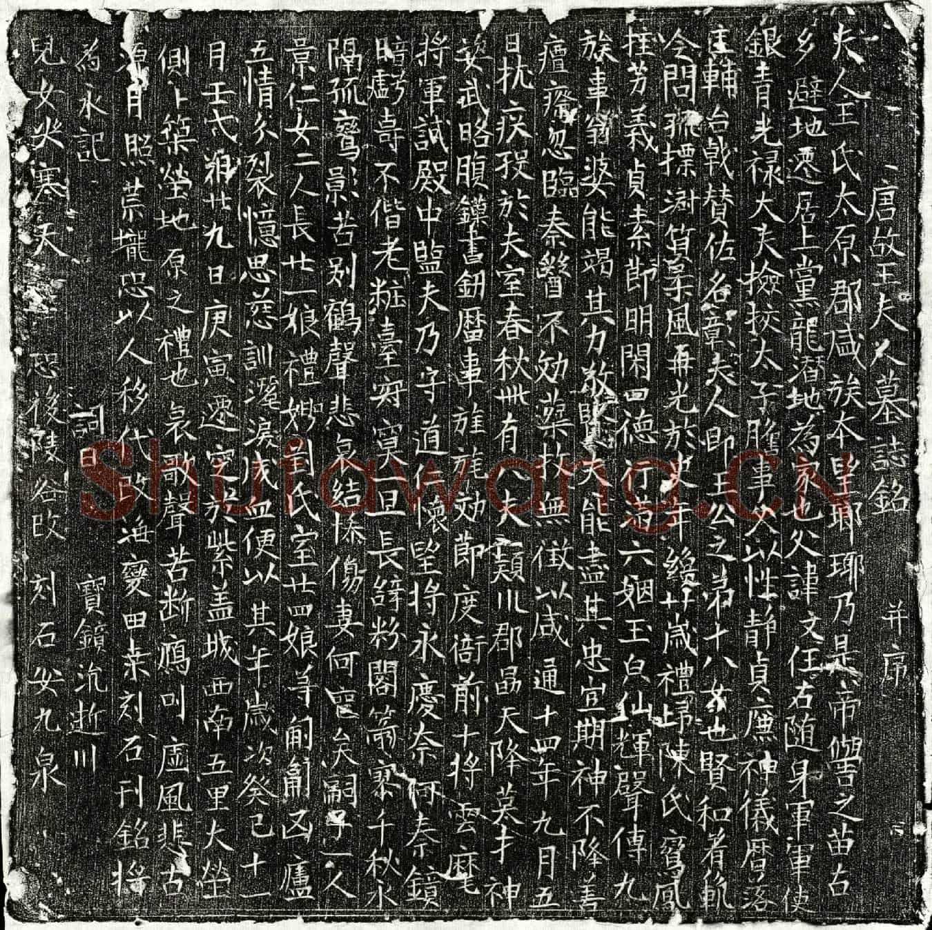 唐陈君妻王氏墓誌(唐故王夫人墓誌铭并序)