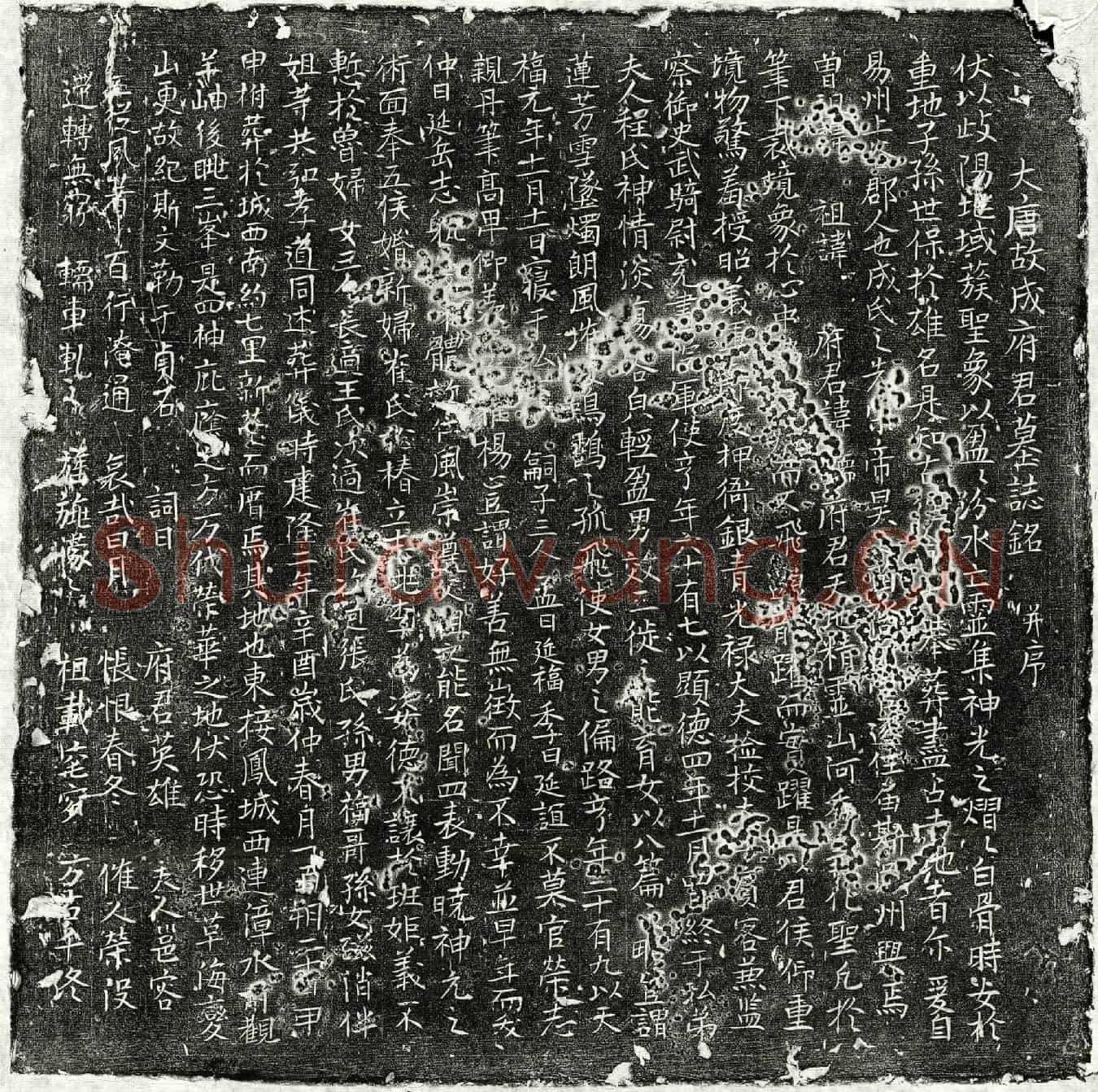 北宋成儒墓誌(大唐故成府君墓誌铭并序)
