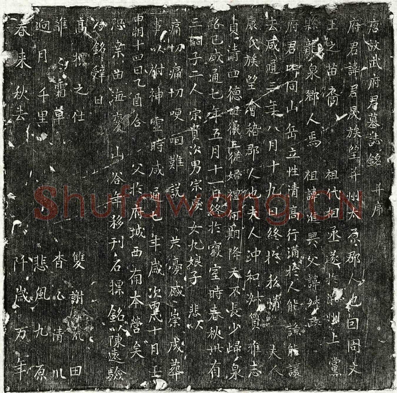唐武君晟墓誌(唐故武府君墓誌铭并序)