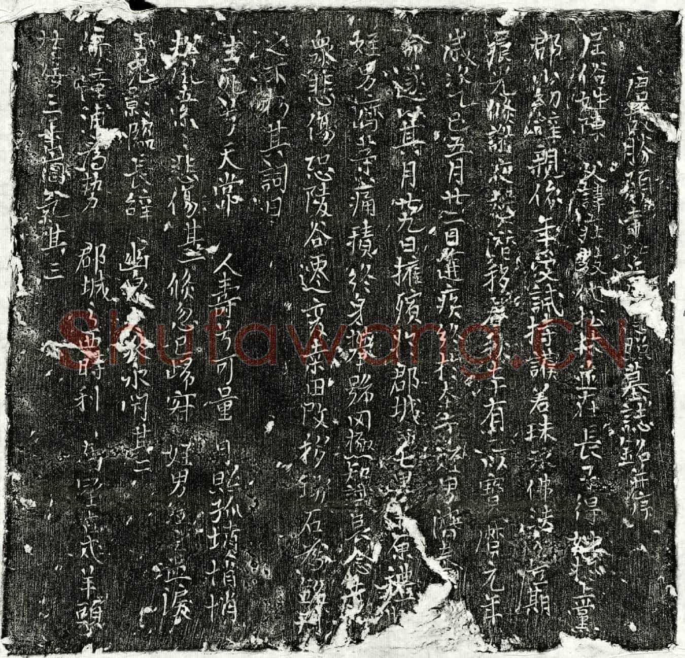 唐□照墓誌(唐故胜愿寺比丘尼□照墓誌铭并序)