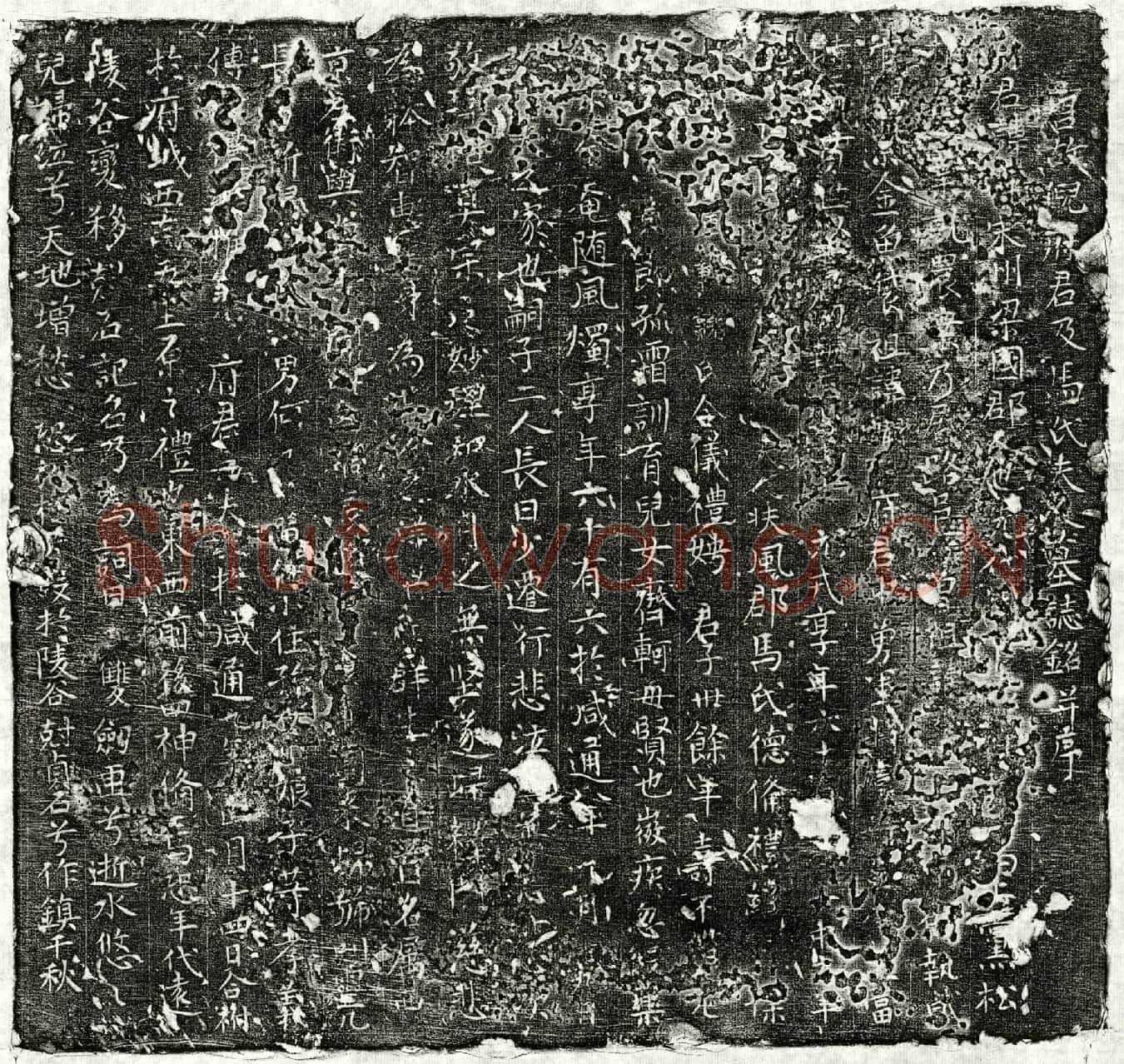 唐倪评、倪评妻马氏墓誌(唐故倪府君及马氏夫人墓誌铭并序)
