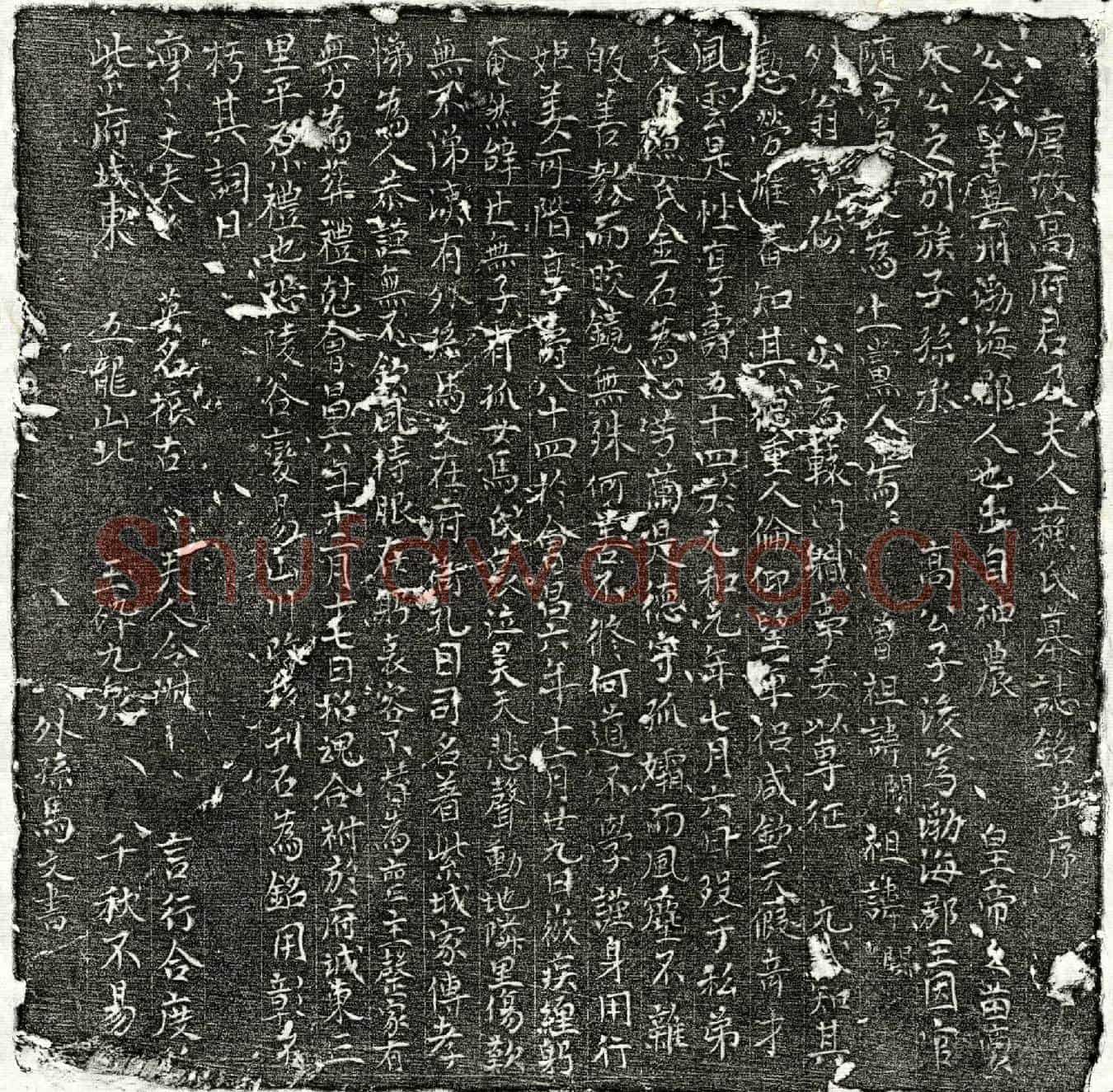 唐高俊墓誌(唐故高府君及夫人苏氏墓誌铭并序)