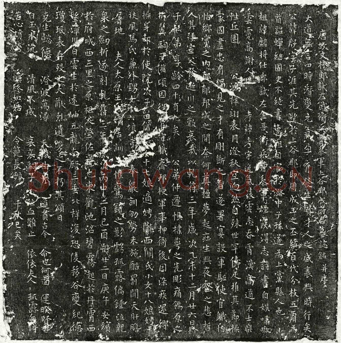 唐成殷墓誌(唐故文林郎试左武卫兵曹参军上谷郡成府君墓誌铭并序)