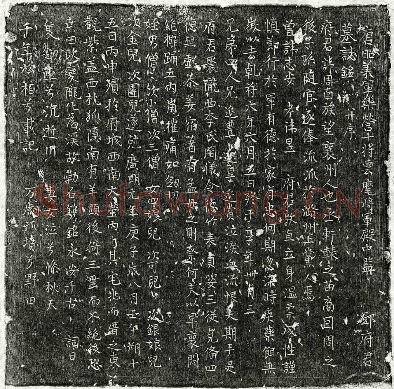 唐邓周南墓誌(唐昭义军乐营十将云麾将军殿中监邓府君墓誌铭并序)