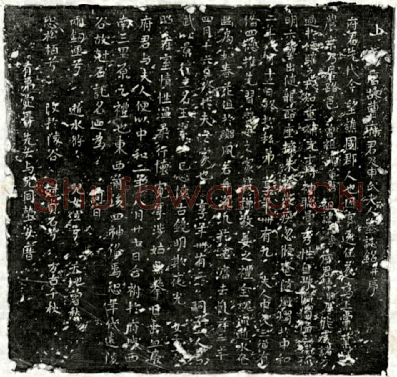 唐曹师厚、曹师厚妻申氏墓誌(上□唐故曹府君及申氏夫人墓誌铭并序)