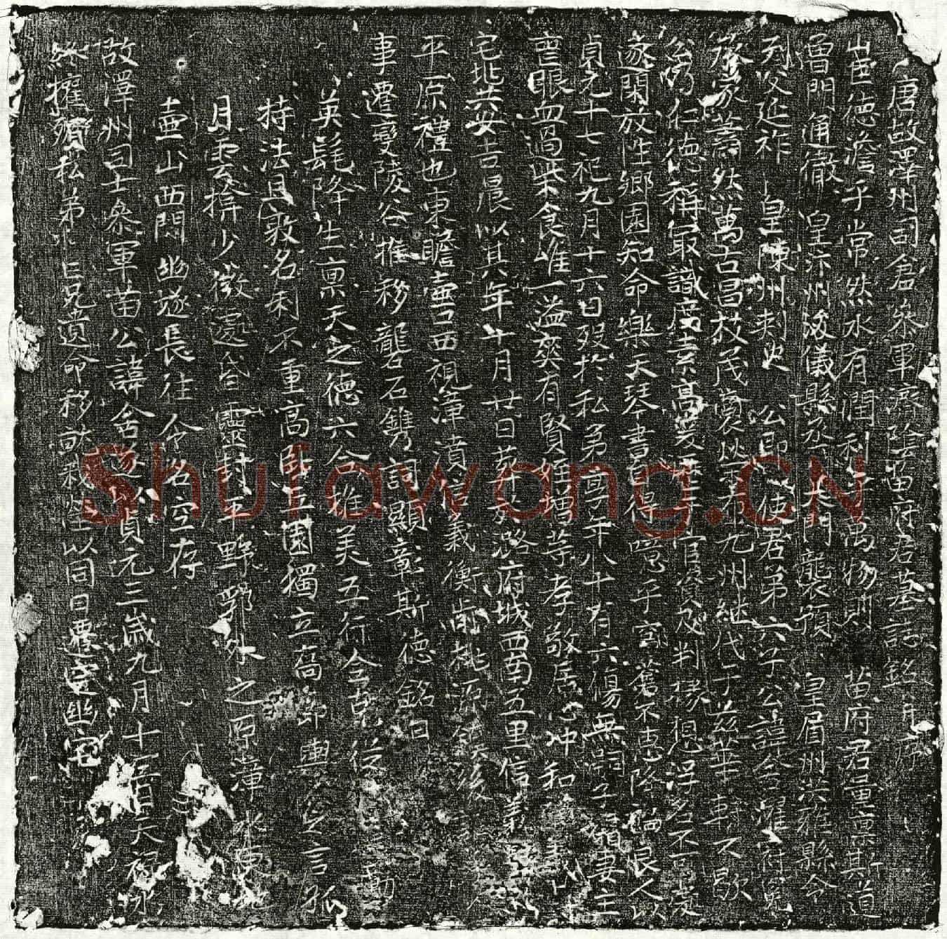 唐苗舍濯墓誌(唐故泽州司仓参军济阴苗府君墓誌铭并序)