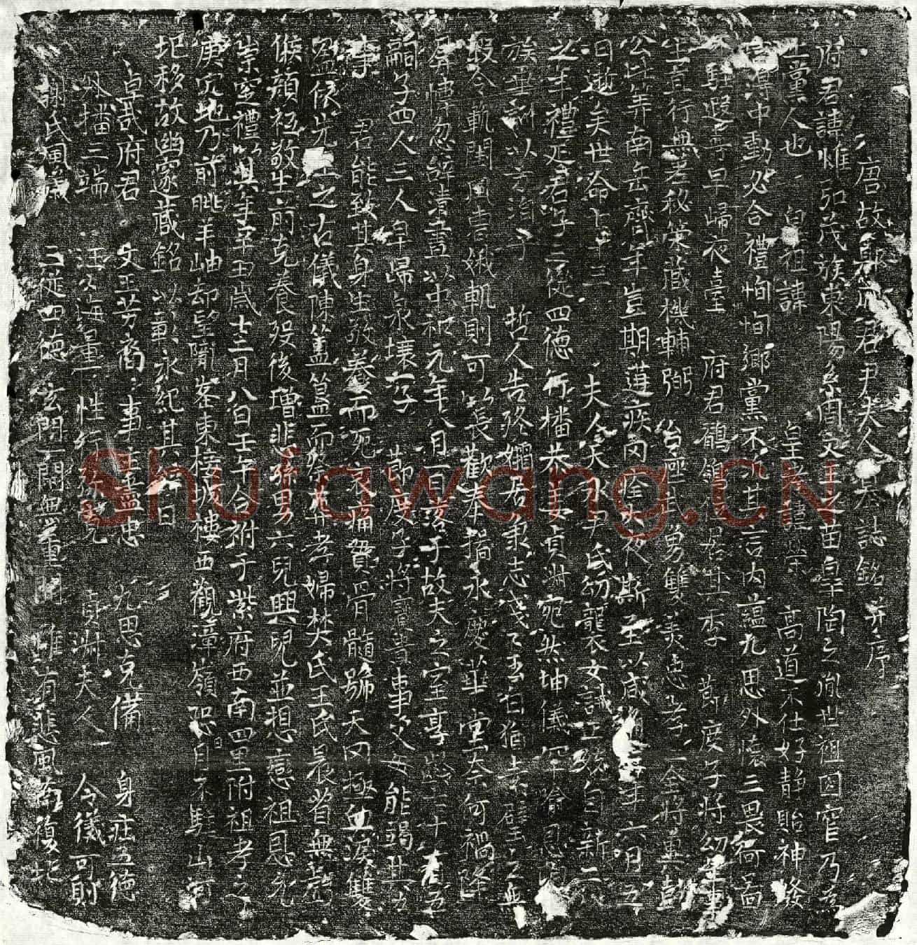 唐郑惟弘、郑惟弘妻尹氏墓誌(唐故郑府君尹夫人墓誌铭并序)