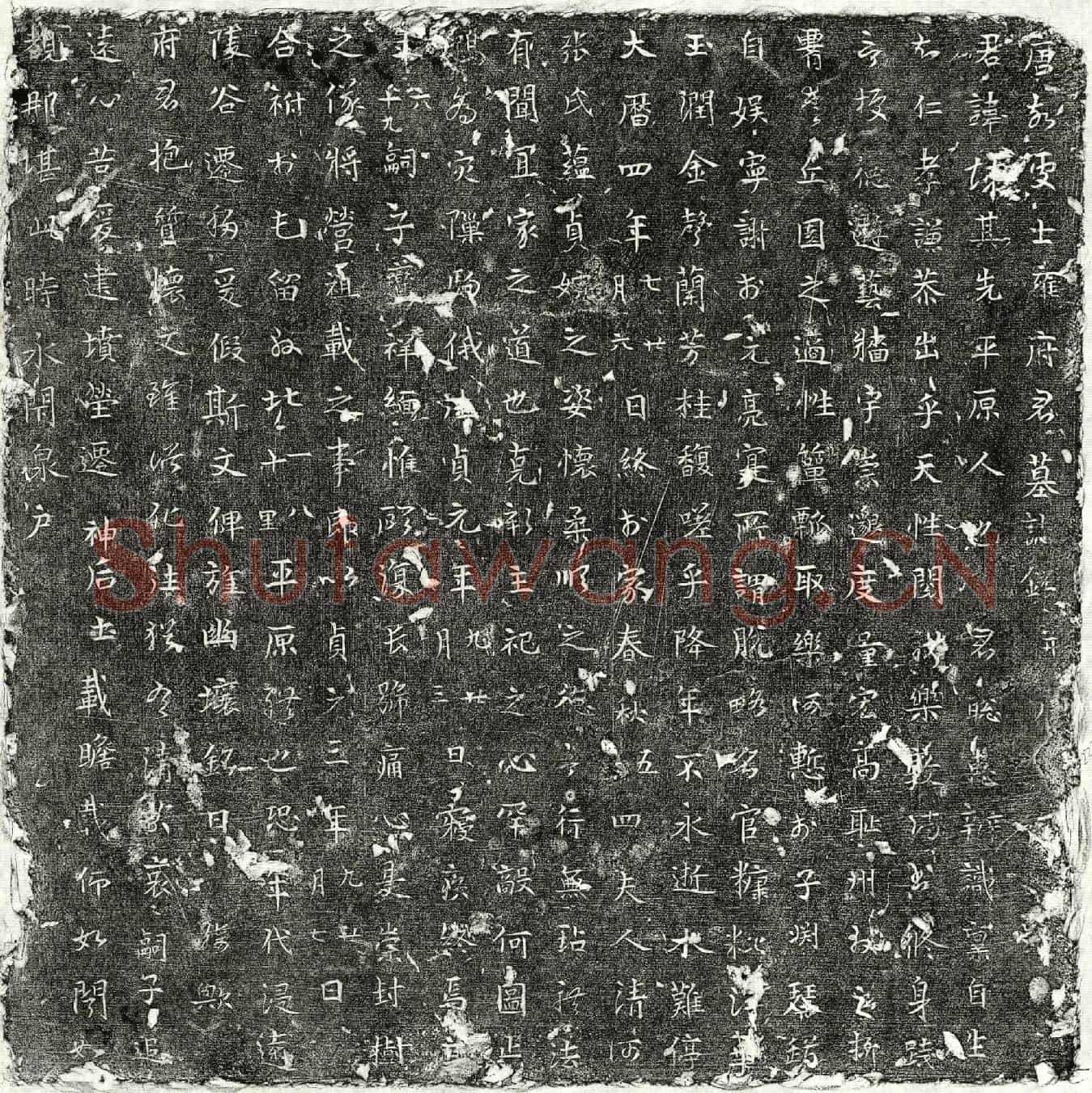 唐雍君墓誌(唐故处士雍府君墓誌铭并序)