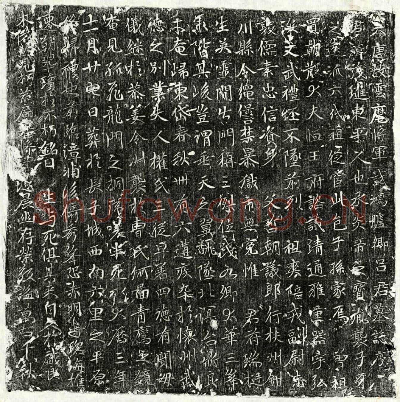 唐吕茂琎墓誌(大唐故云麾将军试鸿胪卿吕君墓誌序)