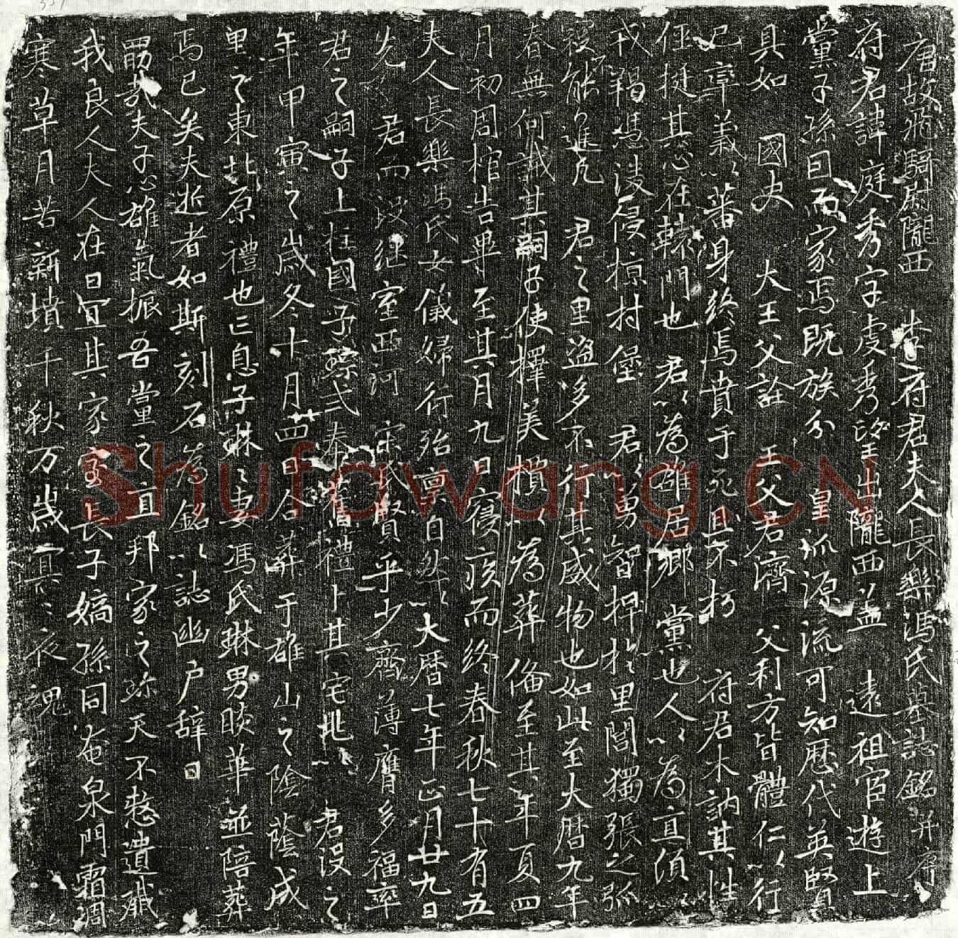 唐李庭秀、李庭秀妻冯氏墓誌(唐故飞骑尉陇西李府君夫人长乐冯氏墓誌铭并序)