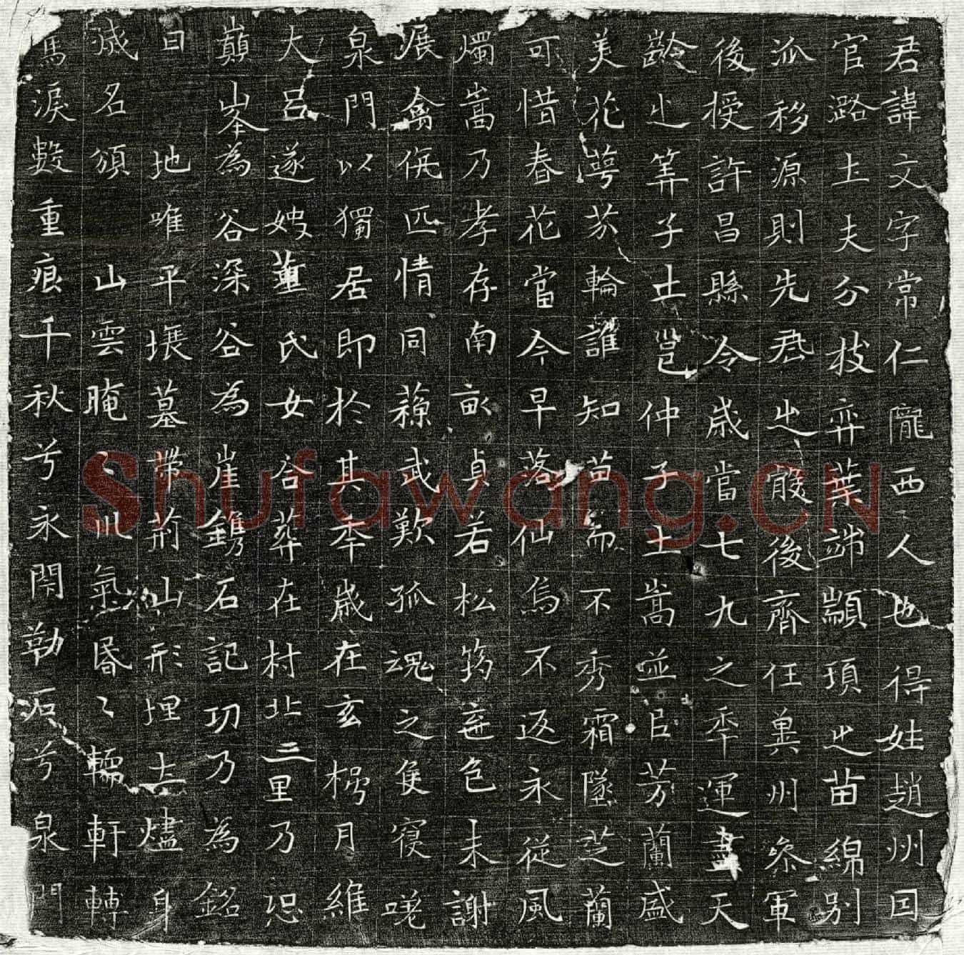唐赵文墓誌