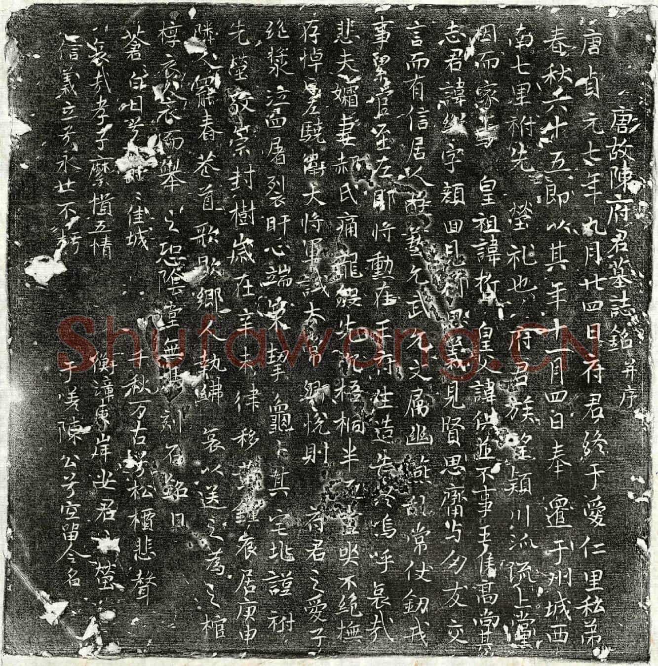 唐陈颜回墓誌(唐故陈府君墓誌铭并序)