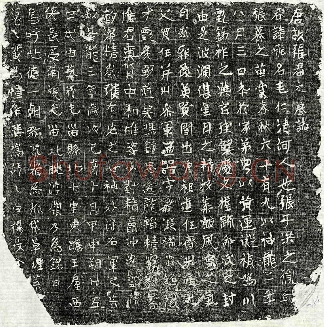 唐张雅墓誌(唐故张君之墓誌)