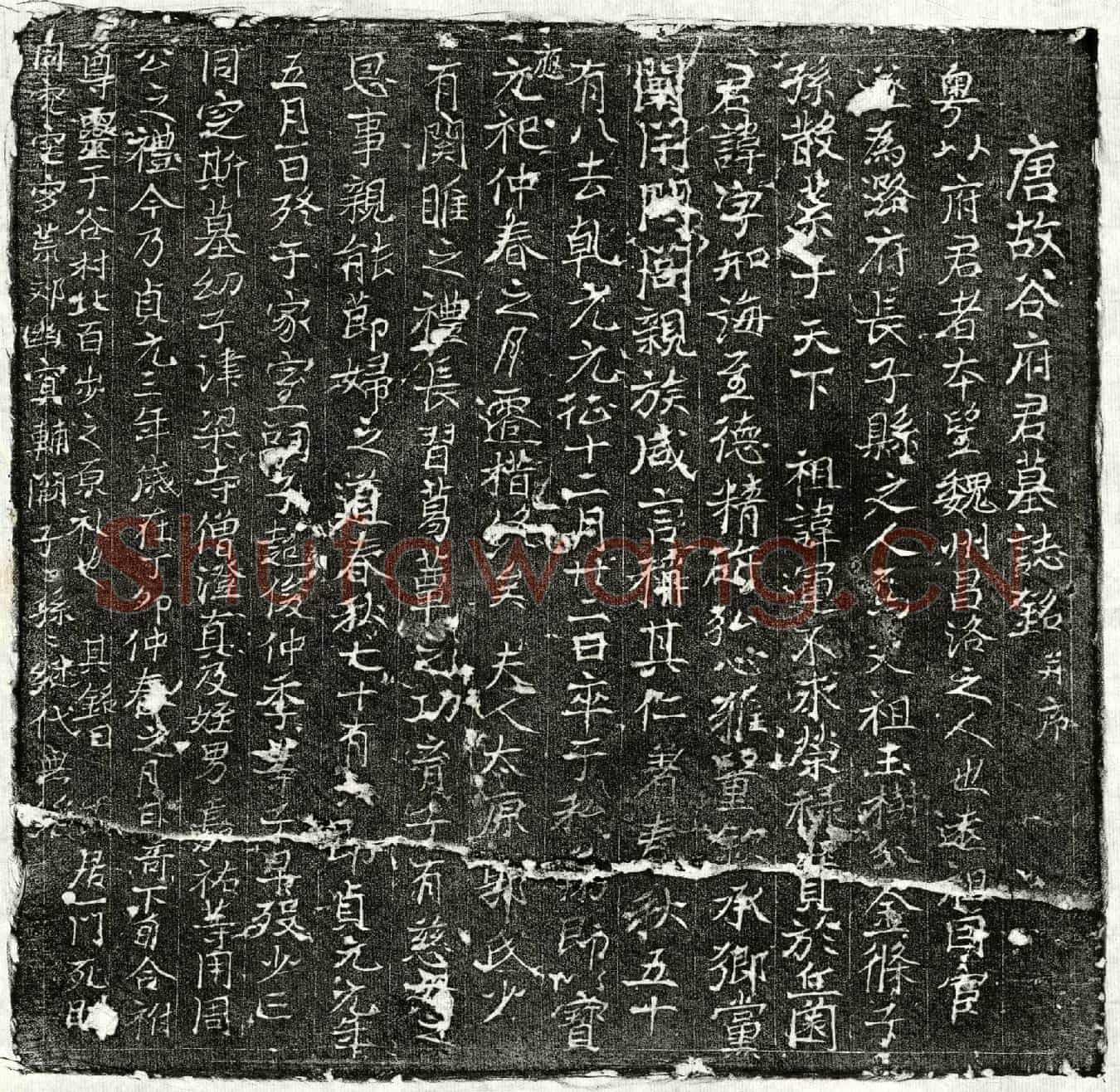 唐谷知诲墓誌(唐故谷府君墓誌铭并序)