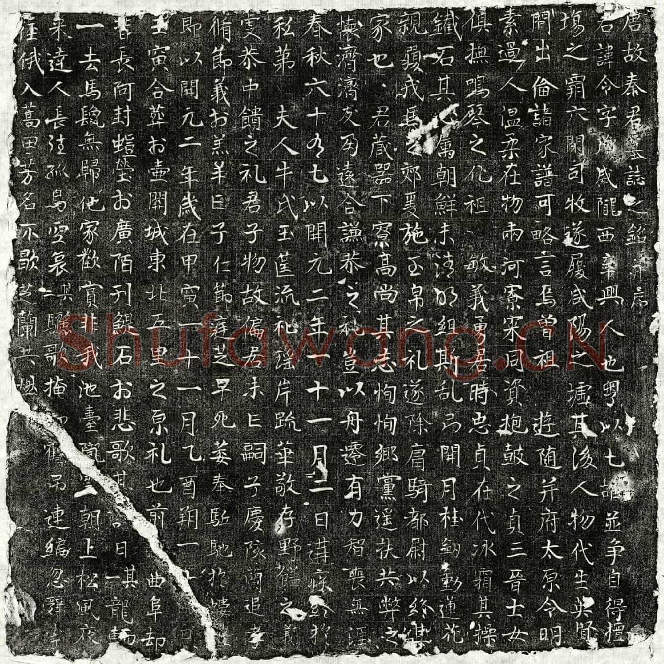 唐秦令墓誌(唐故秦君墓誌之铭并序)