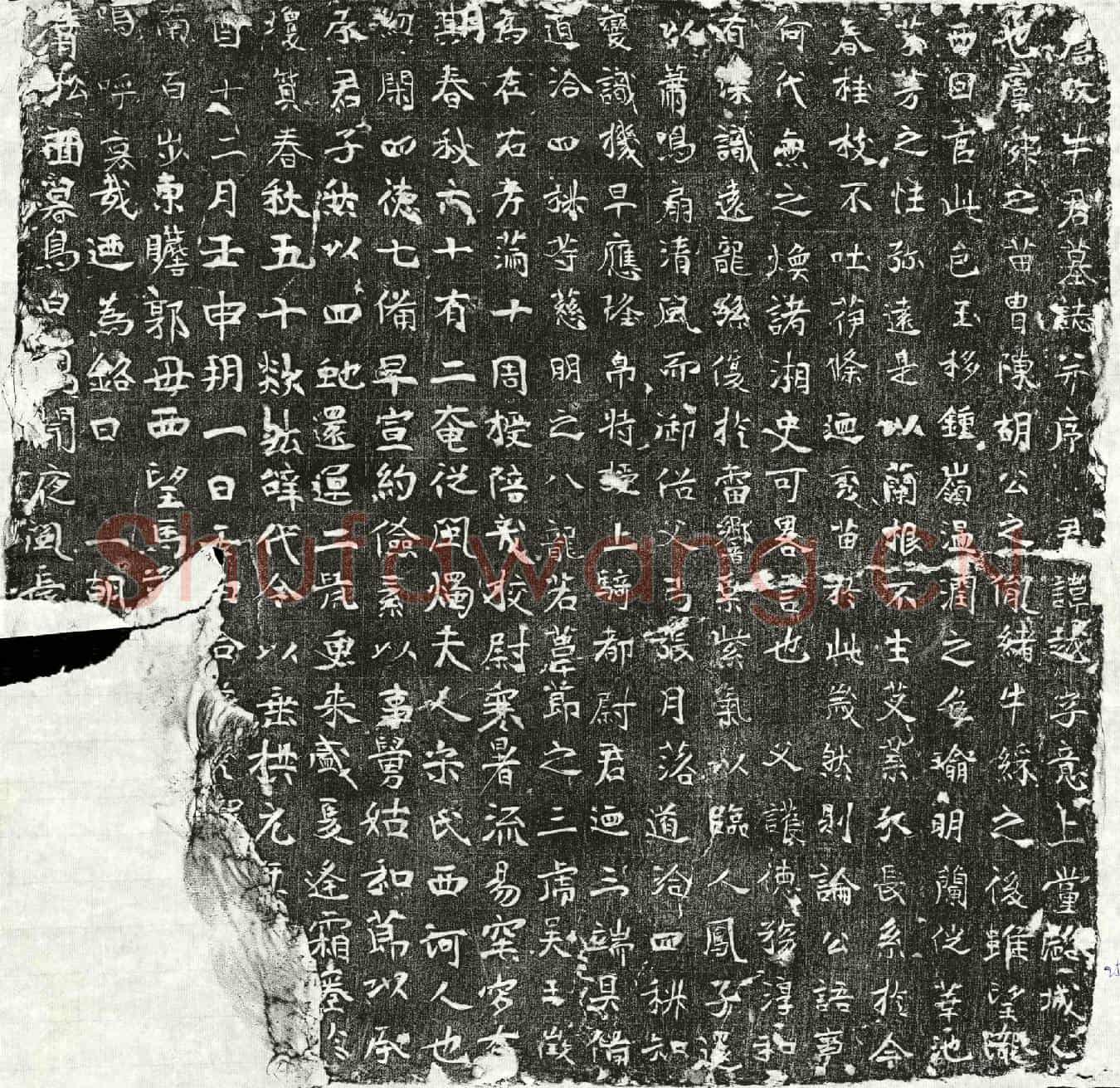 唐牛越墓誌(唐故牛君墓誌并序)