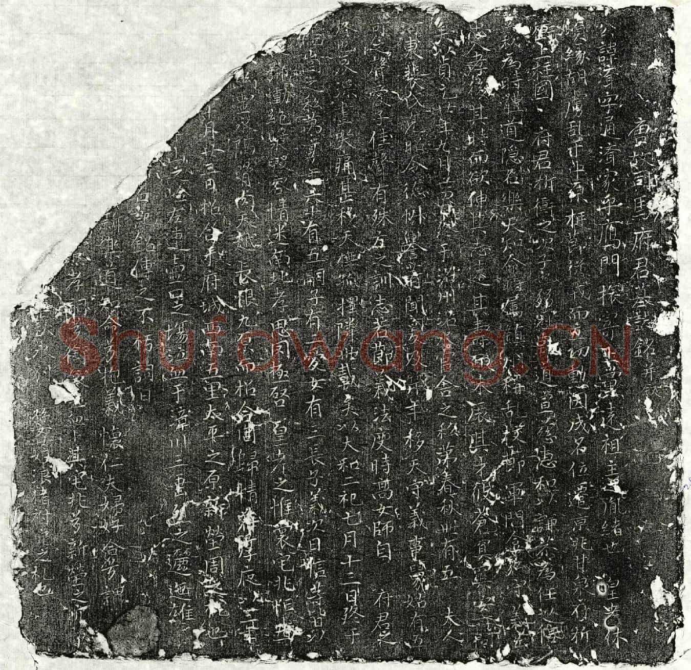 唐司马济墓誌(唐故司马府君墓誌铭并叙)