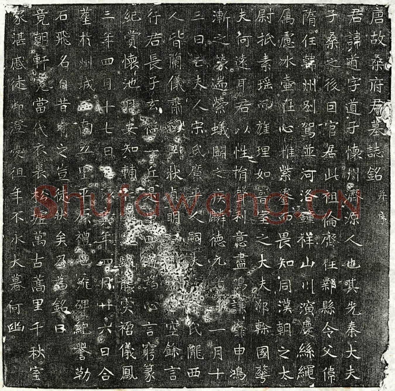 唐桑道墓誌(唐故桑府君墓誌铭并序)