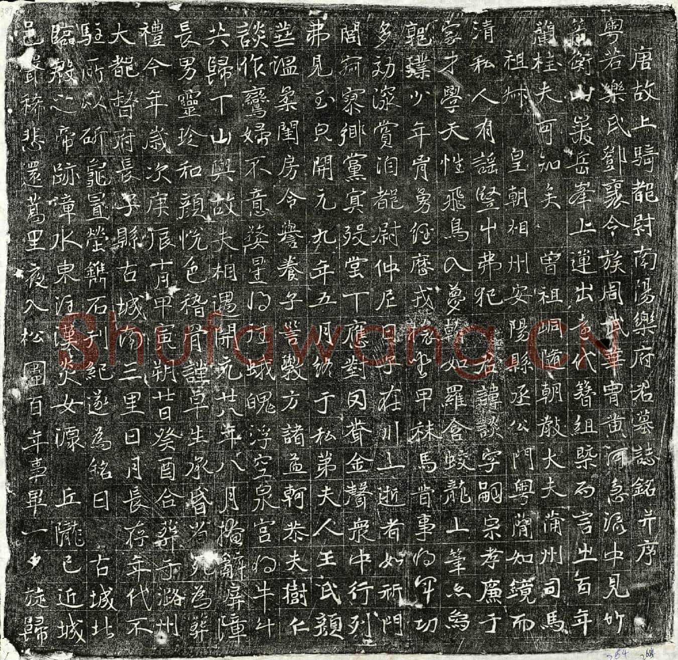 唐乐谈墓誌(唐故上骑都尉南阳乐府君墓誌铭并序)