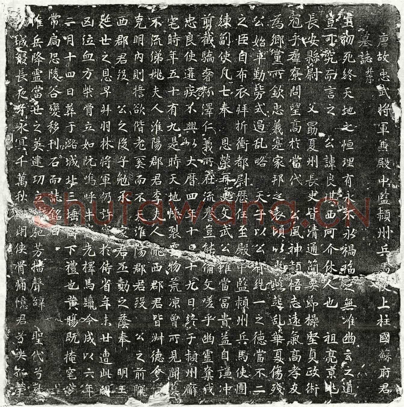 唐苏良琪墓誌(唐故忠武将军兼殿中监颍州兵马使上柱国苏府君墓誌并序)