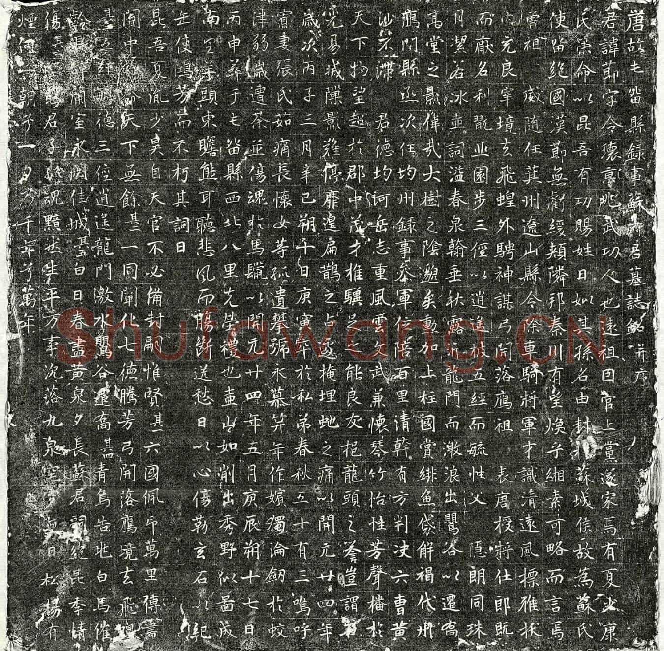 唐苏节墓誌(唐故屯留县录事苏府君墓誌铭并序)