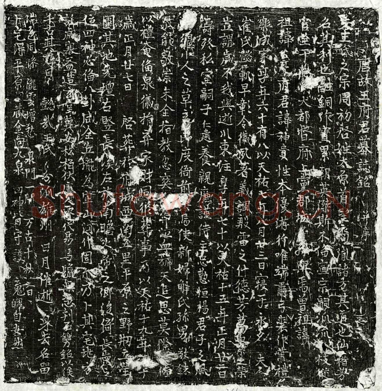 唐王神贵墓誌(唐故王府君墓誌铭并序)