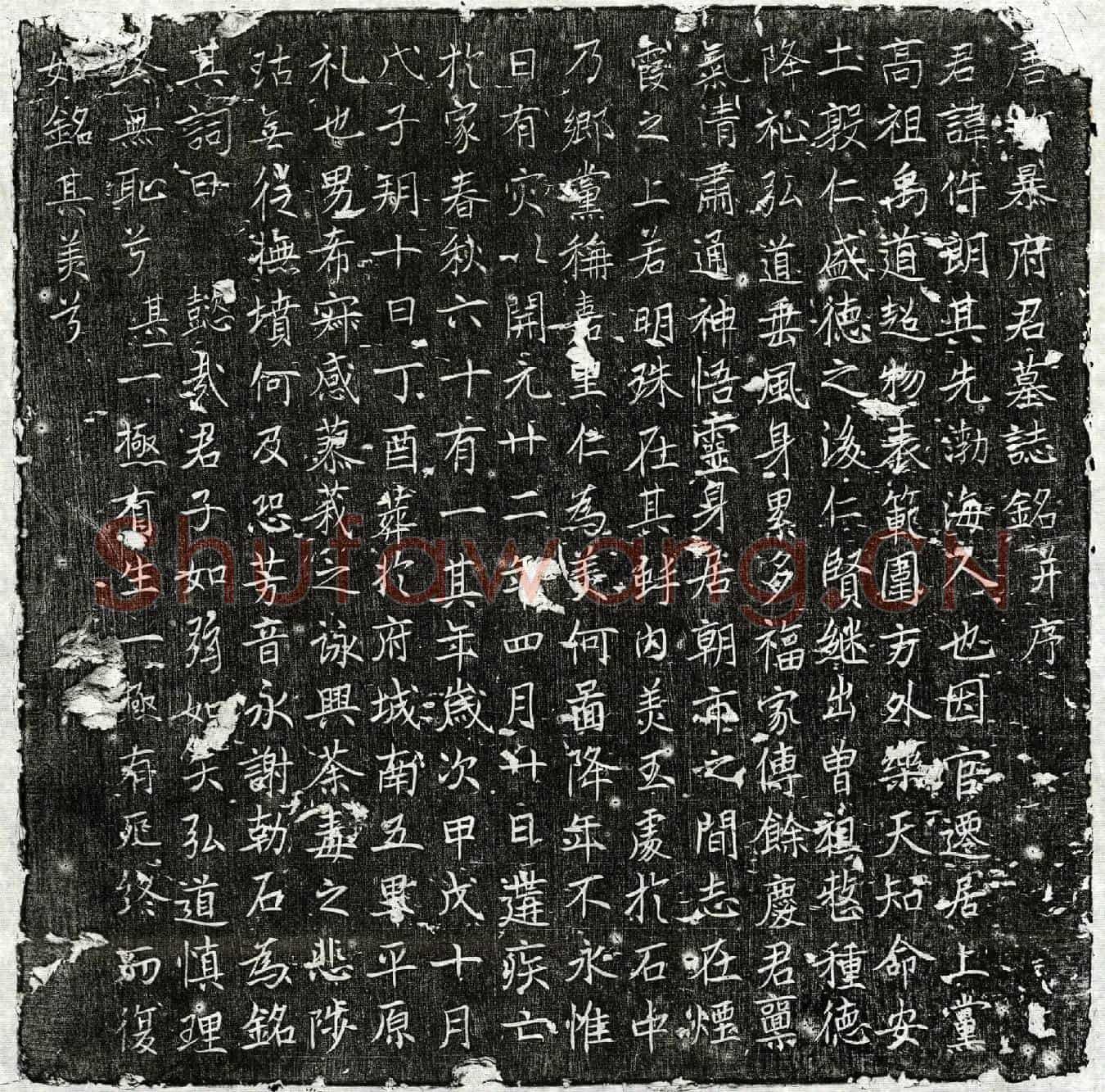 唐暴仵朗墓誌(唐故暴府君墓誌铭并序)