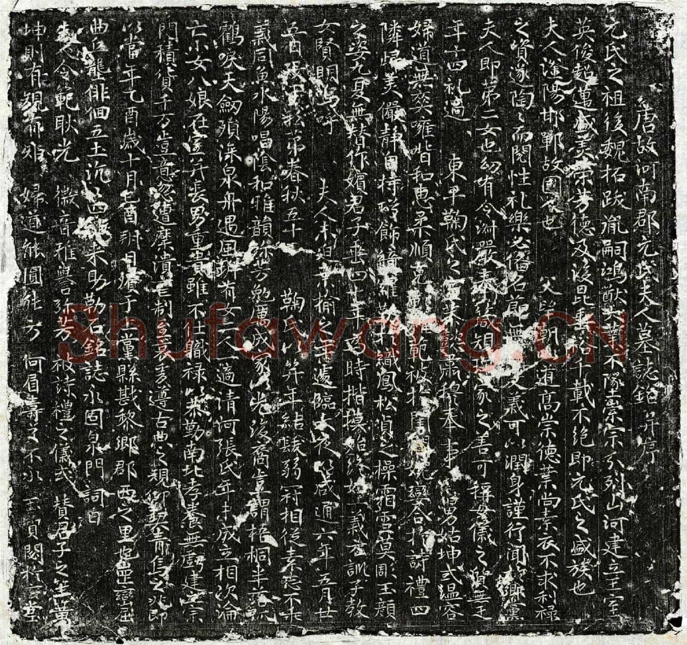 唐鞠君妻元氏墓誌(唐故河南郡元氏夫人墓誌铭并序)