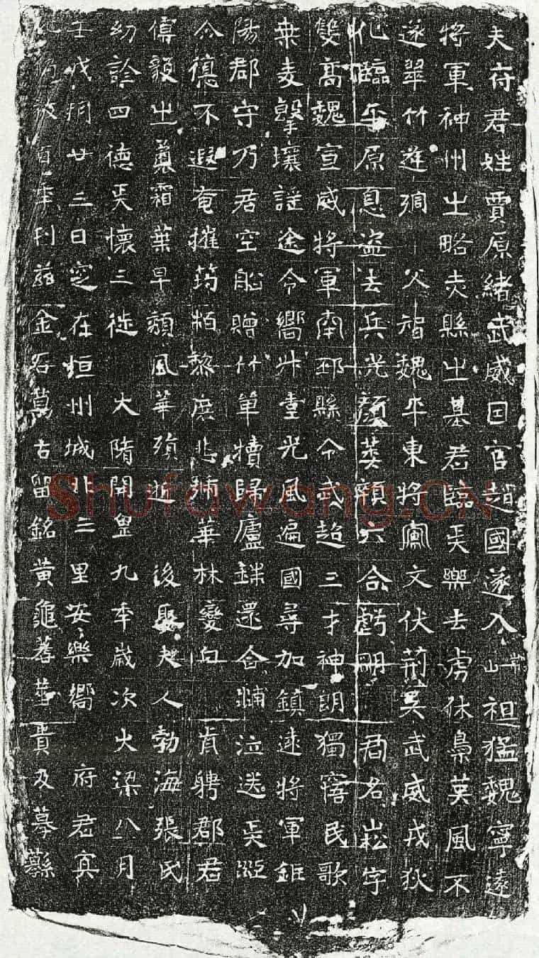 隋贾崧墓誌