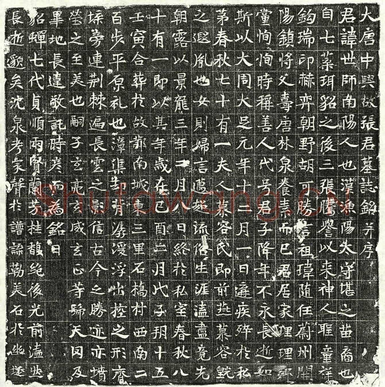 唐张世师墓誌(大唐中兴故张君墓誌铭并序)