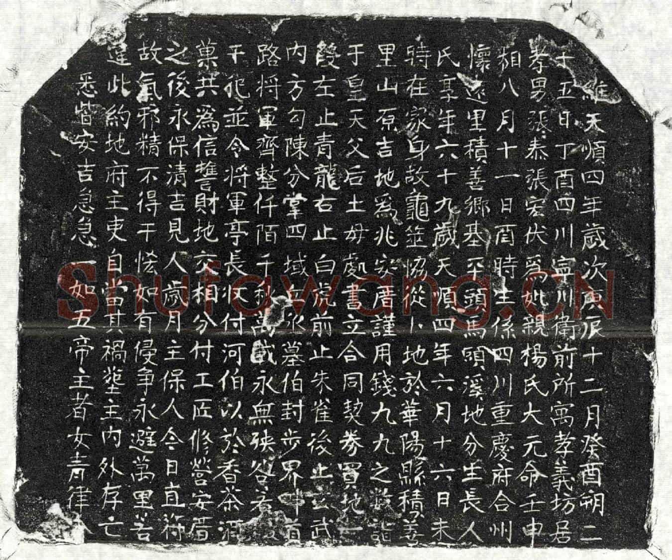明张泰母杨氏买地券