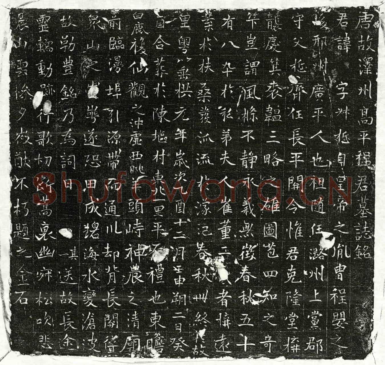 唐程叔悊墓誌(唐故泽州高平程君墓誌铭)