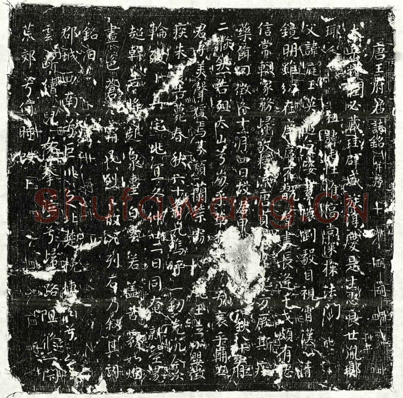 唐王庭玉墓誌(唐王府君誌铭并序)