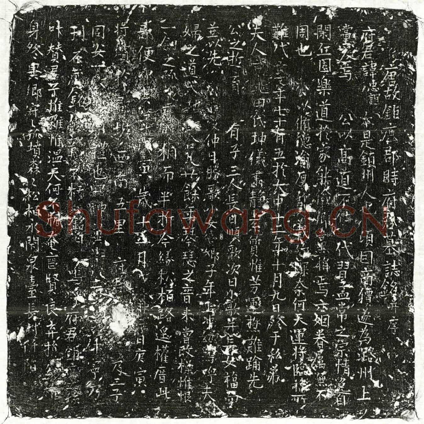 唐时忠谊墓誌(唐故鉅鹿郡时府君墓誌铭并序)
