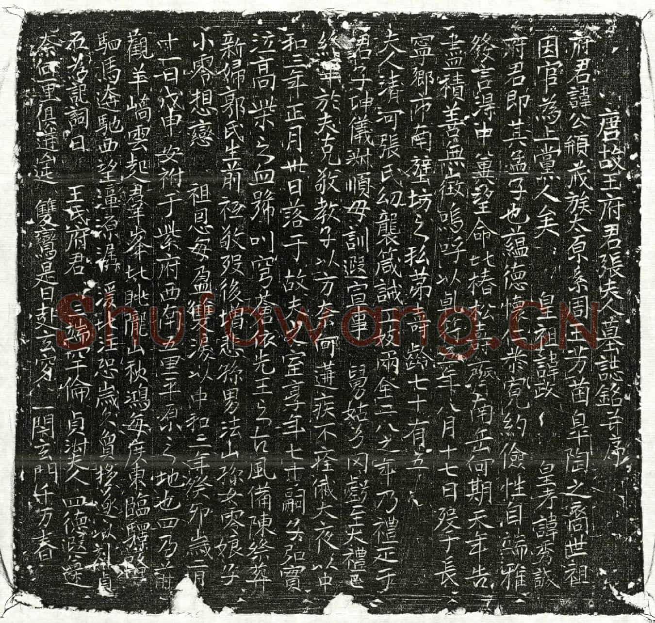 唐王公䪻、王公䪻妻张氏墓誌(唐故王府君张夫人墓誌铭并序)