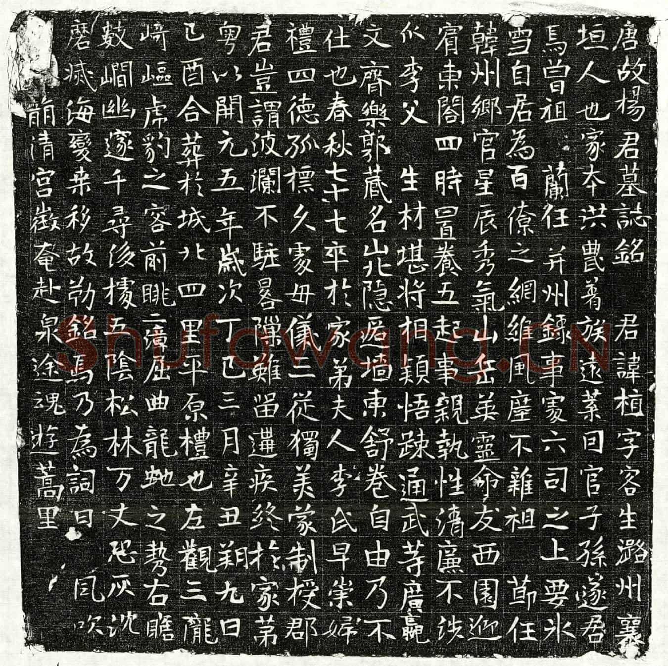 唐杨植墓誌(唐故杨君墓誌铭)