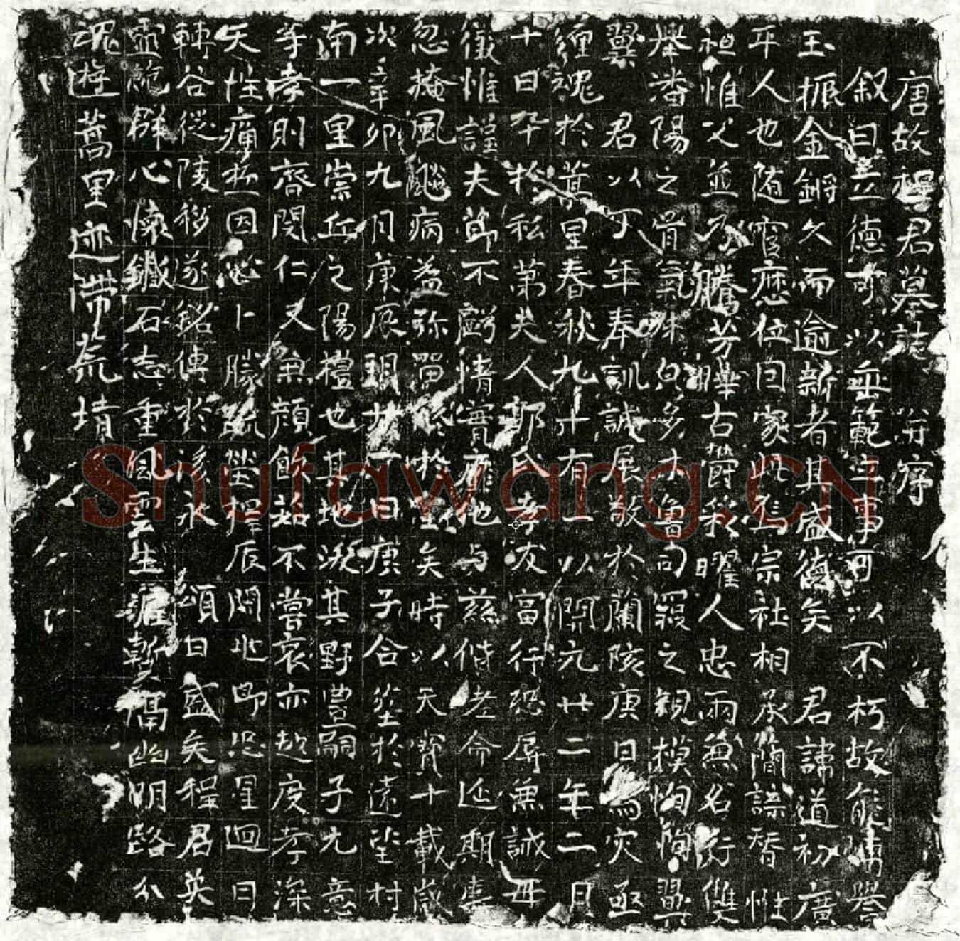唐程道初墓誌(唐故程君墓誌并序)