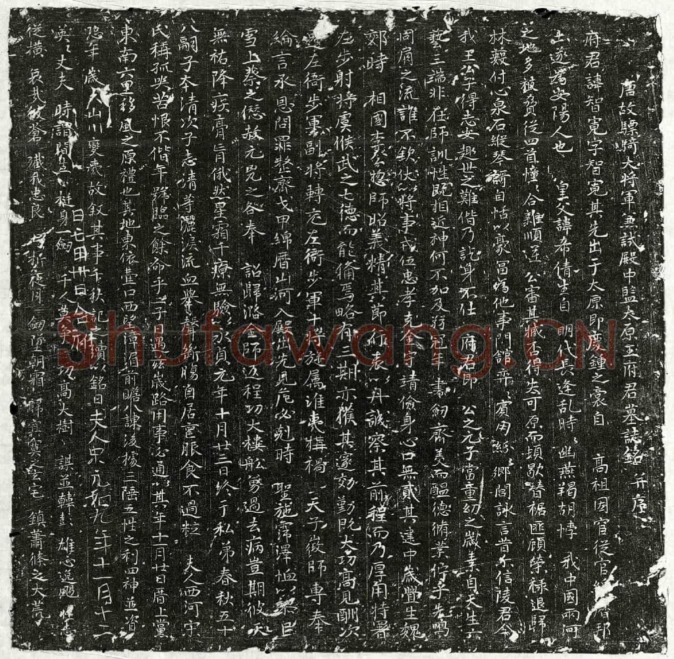 唐王智宽墓誌(唐故骠骑大将军兼试殿中监太原王府君墓誌铭并序)