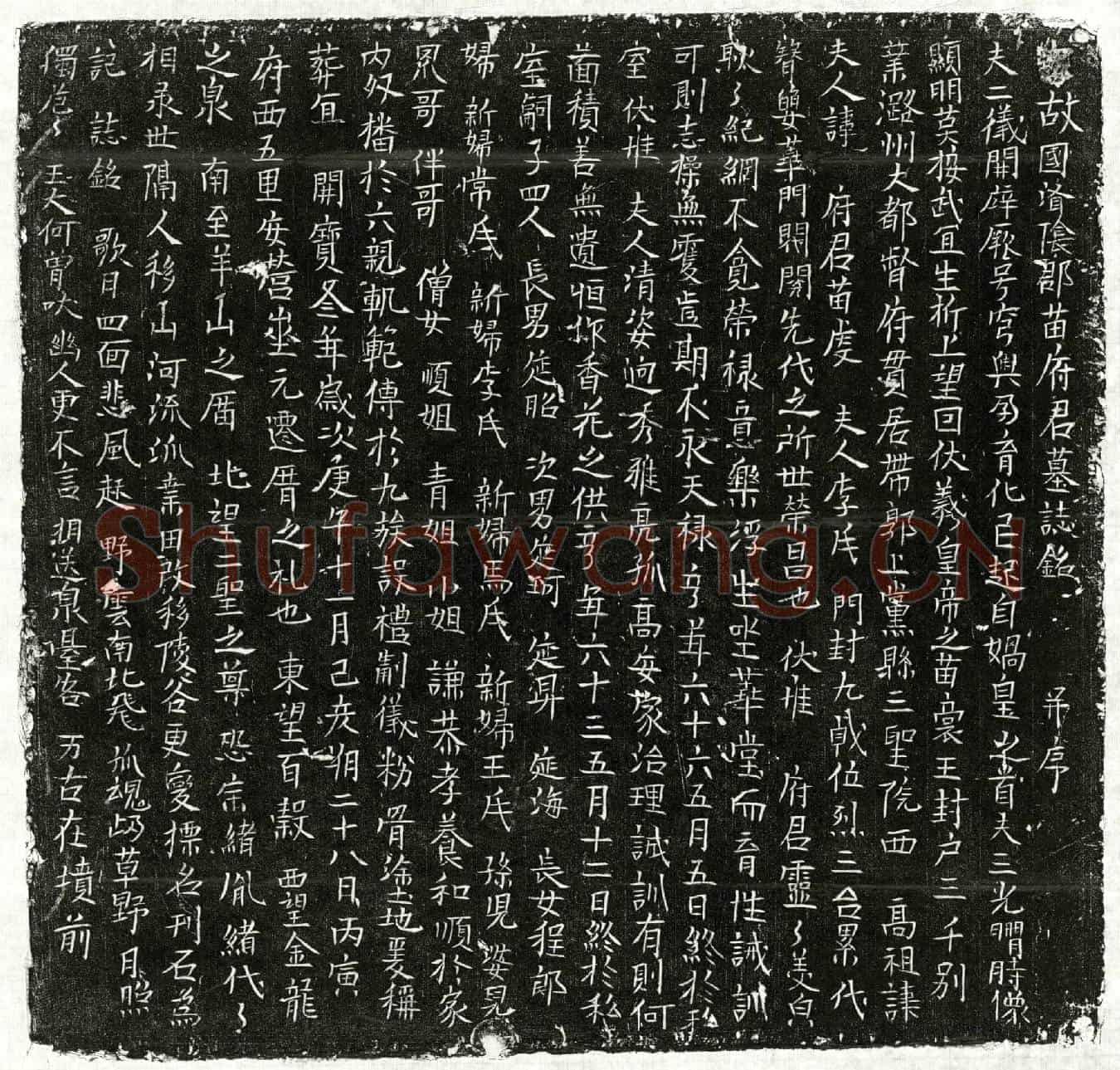 北宋苗虔墓誌(□故国济阴郡苗府君墓誌铭并序)