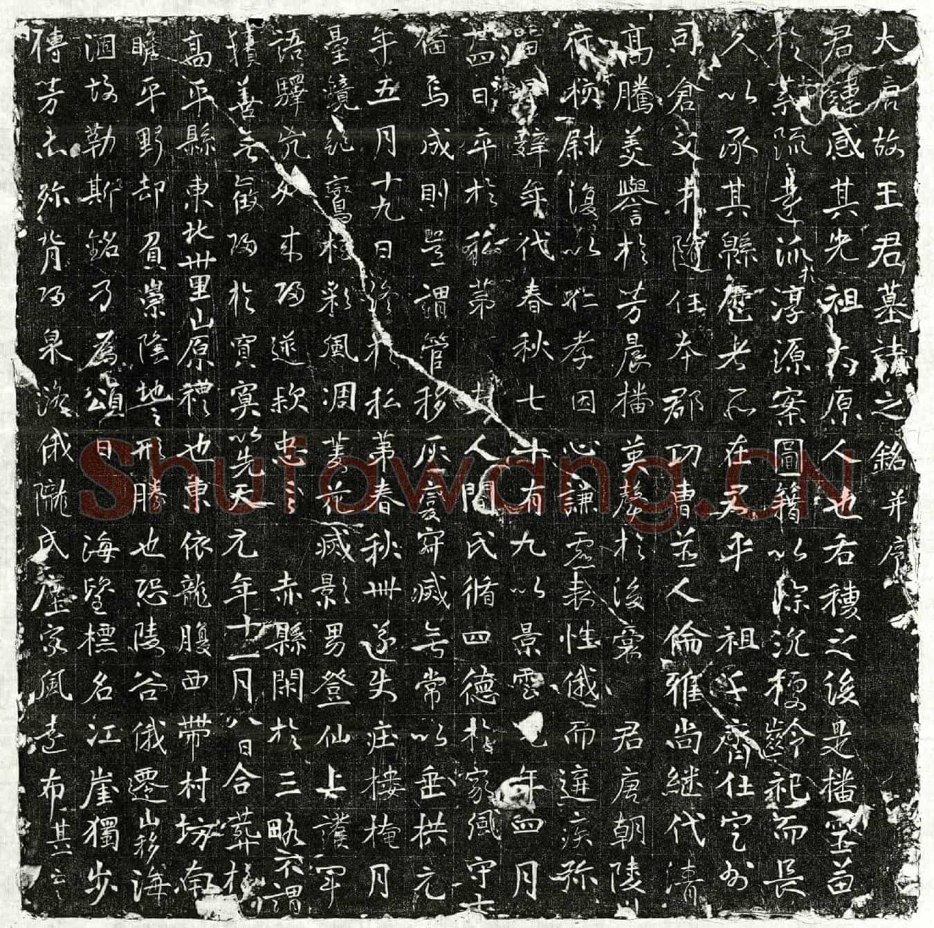 唐王感墓誌(大唐故王君墓誌之铭并序)
