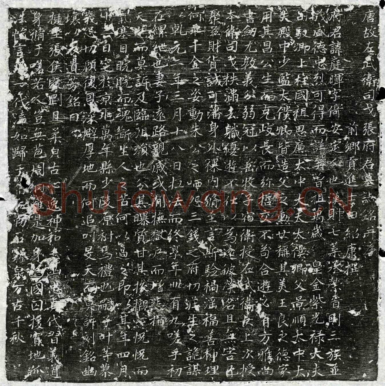 唐张庭晖墓誌(唐故左武卫司戈张府君墓誌铭并序)