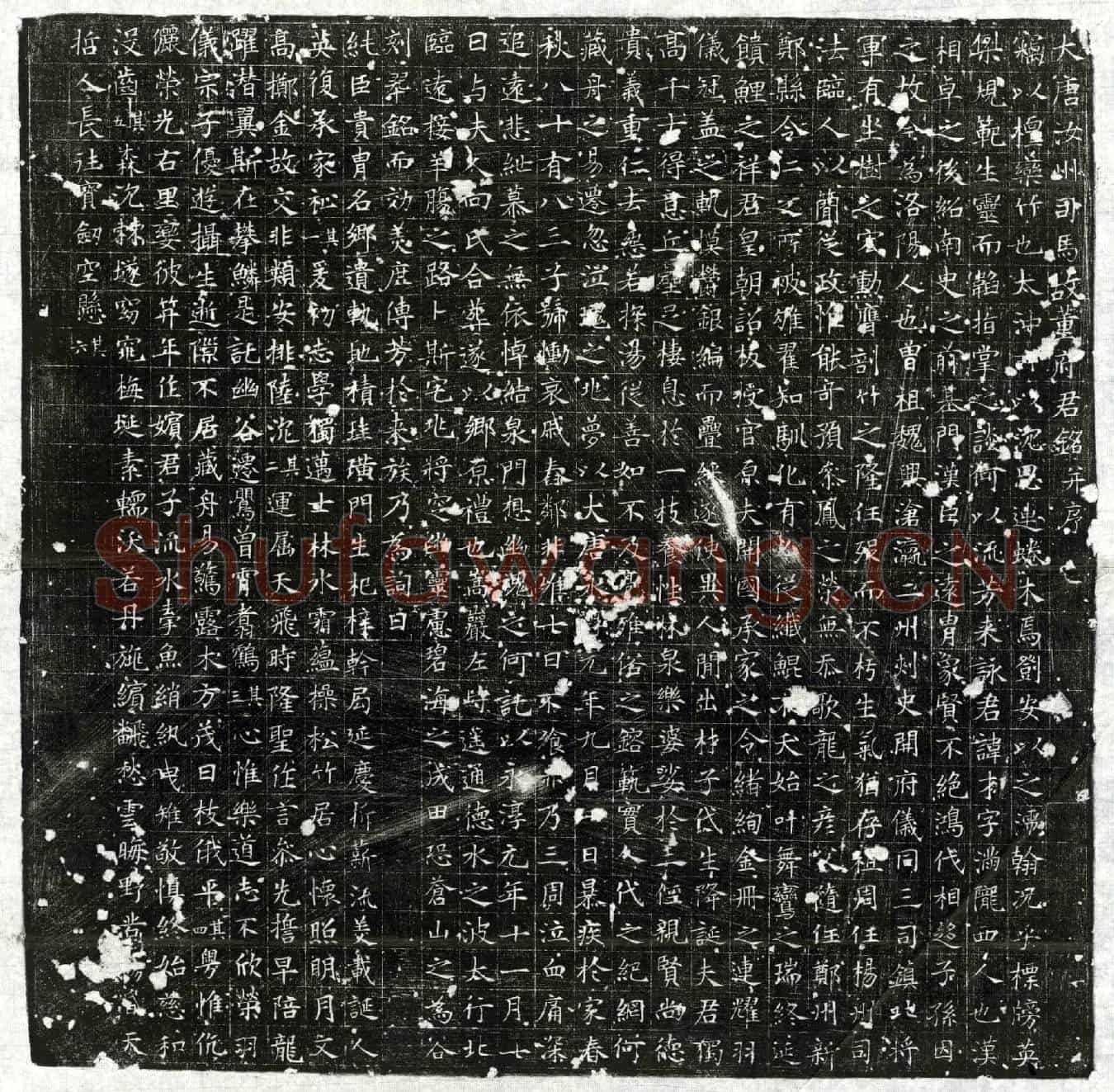 唐董才墓誌(大唐汝州司马故董府君铭并序)