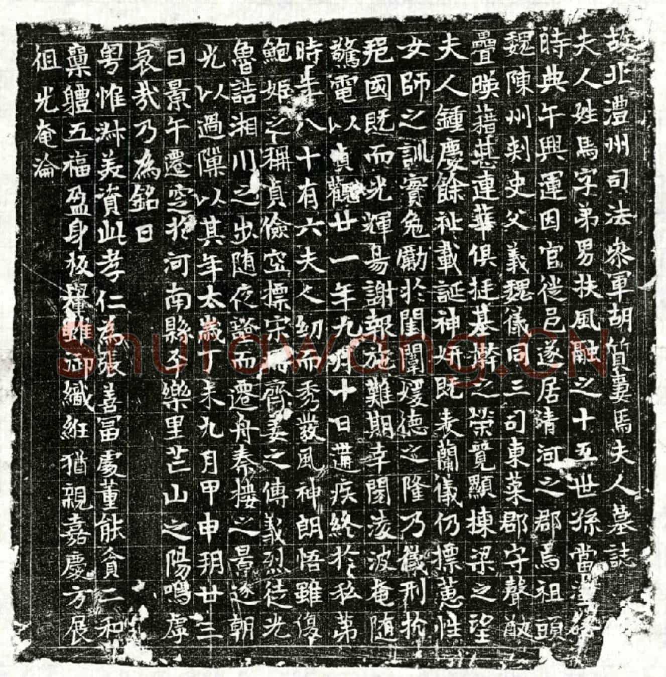 唐胡质妻马弟男墓誌(故北澧州司法参军胡质妻马夫人墓誌)