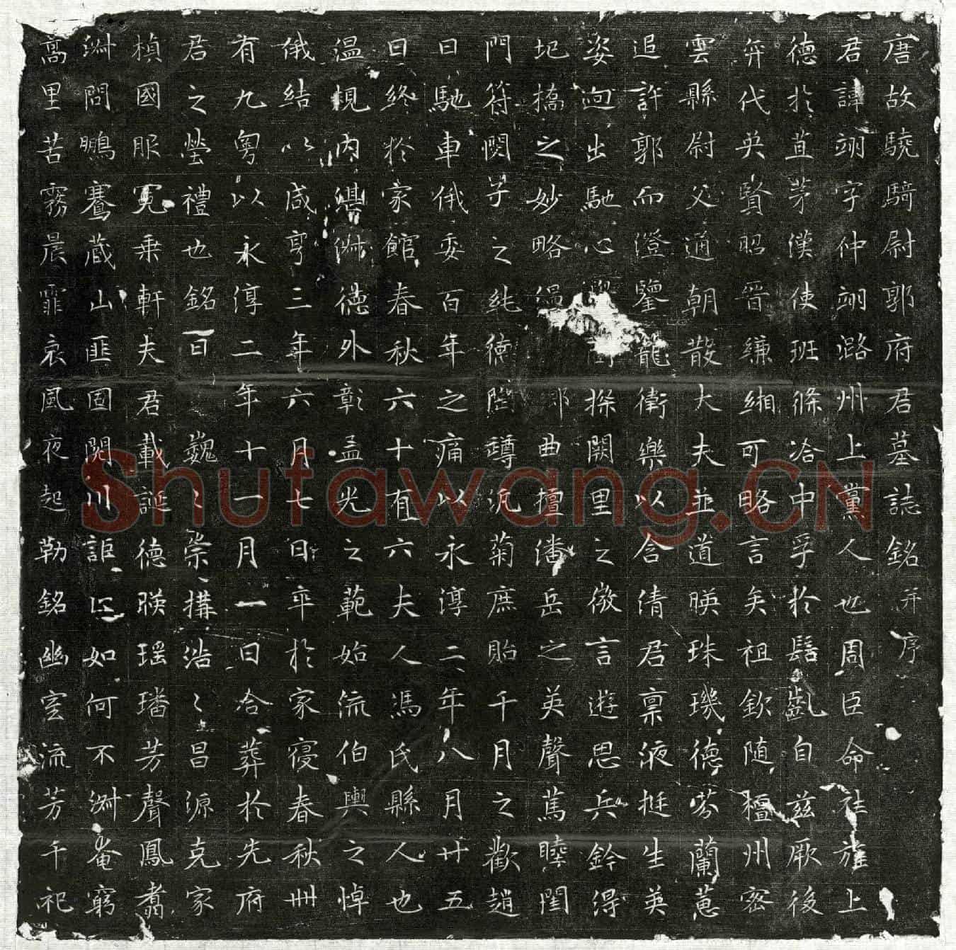 唐郭翊墓誌(唐故骁骑尉郭府君墓誌铭并序)