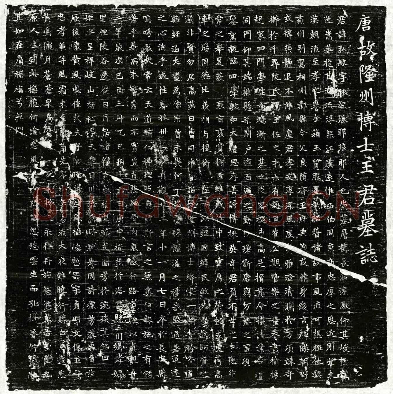 唐王弘敏墓誌(唐故隆州博士王君墓誌并序)